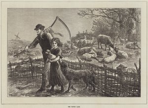 Fosterlammet